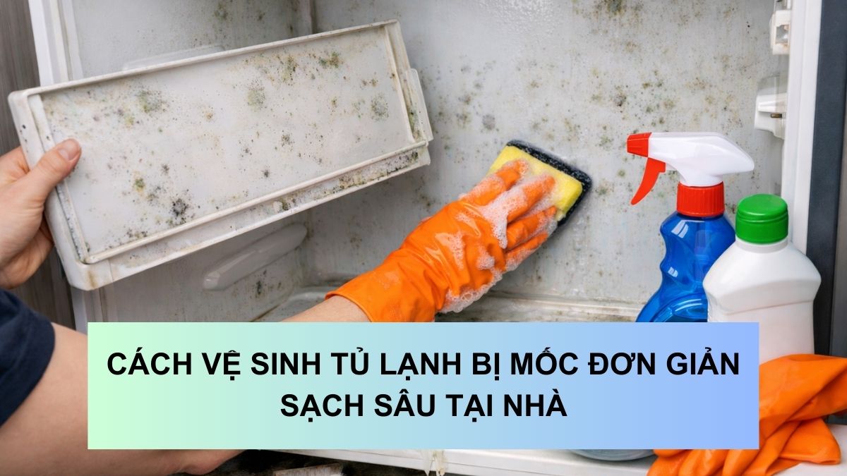 Cách vệ sinh tủ lạnh bị mốc đơn giản, sạch sâu tại nhà